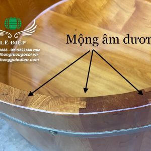 ghép mộng âm dương